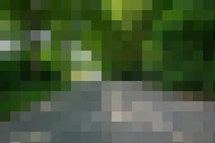 Garderbroekerweg 41 Voorthuizen thumbnail 48