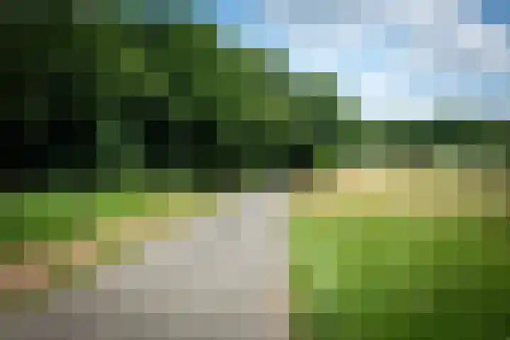 Garderbroekerweg 41 Voorthuizen thumbnail 50