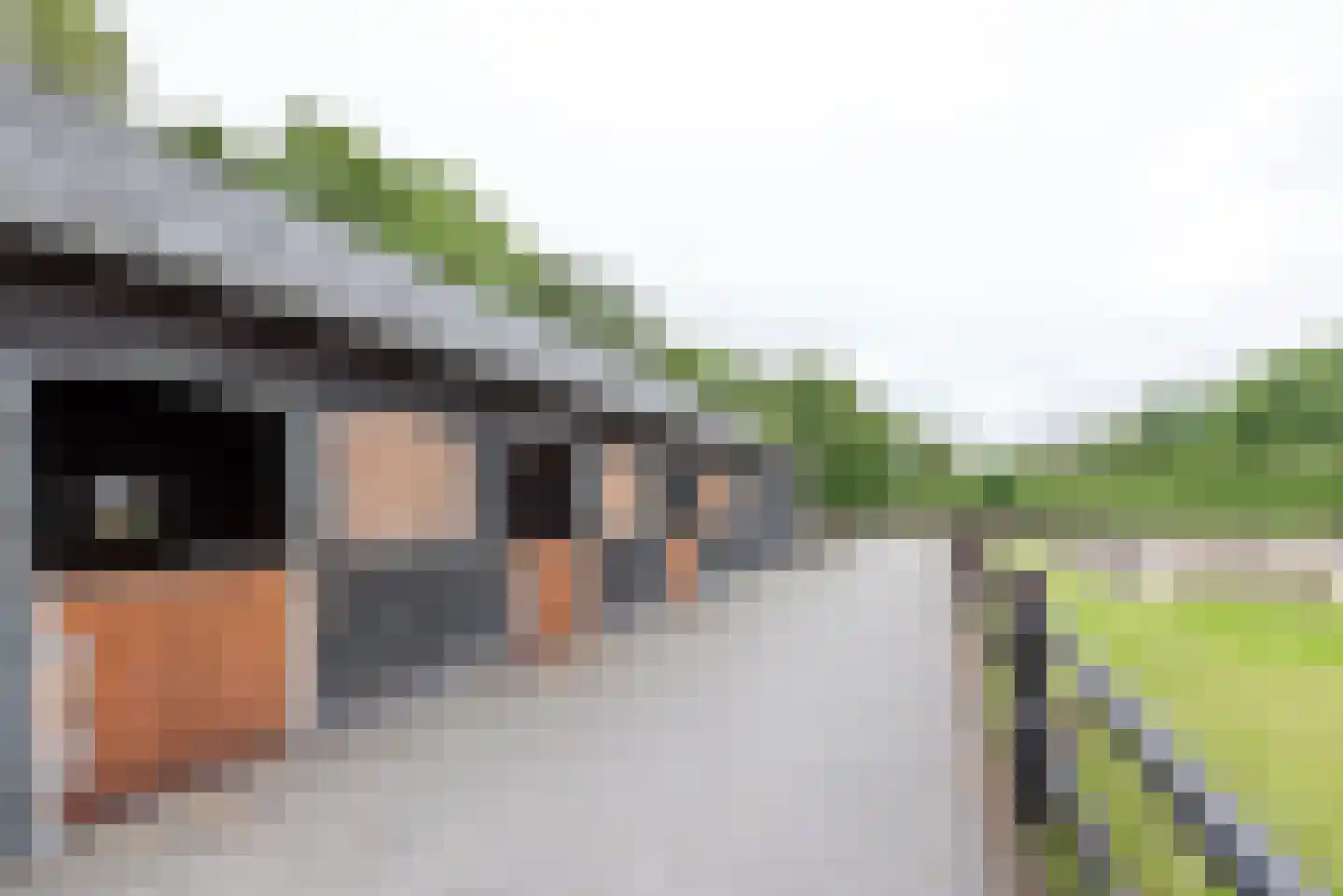 Garderbroekerweg 48 Voorthuizen thumbnail 4