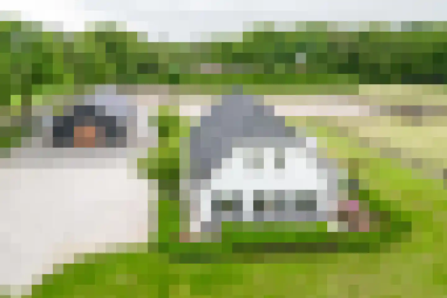 Garderbroekerweg 48 Voorthuizen thumbnail 63