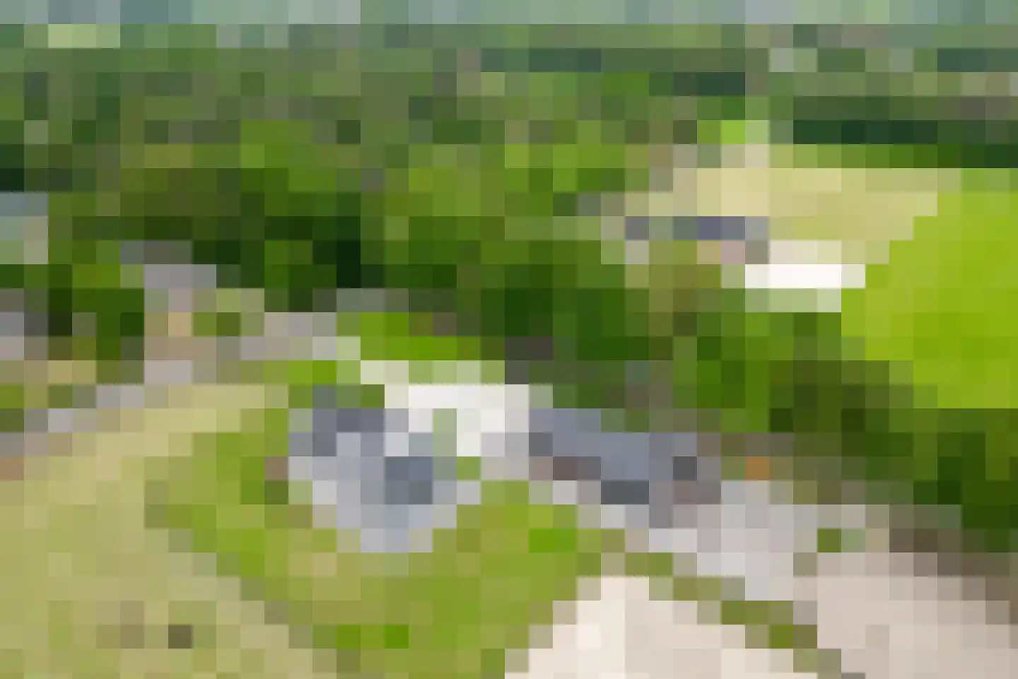 Garderbroekerweg 48 Voorthuizen thumbnail 8