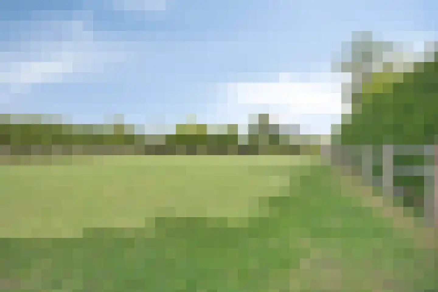 Garderbroekerweg 51 Kootwijkerbroek thumbnail 68