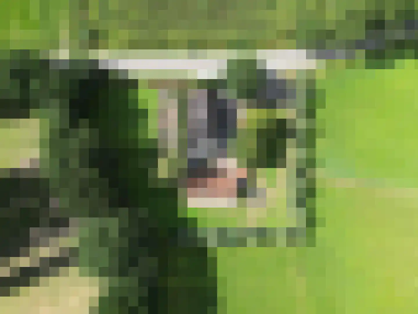 Garderbroekerweg 69 Kootwijkerbroek thumbnail 4