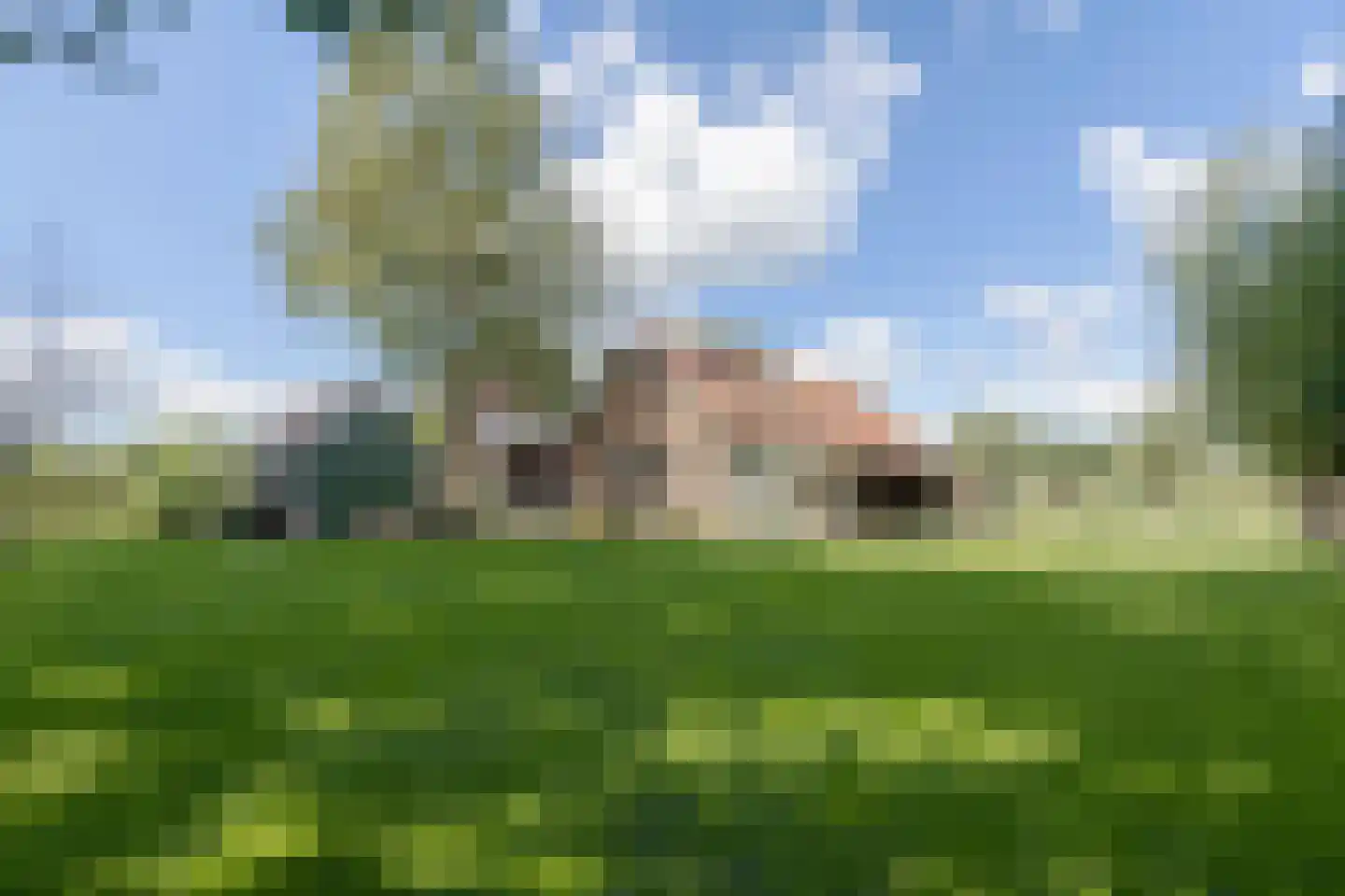 Garderbroekerweg 69 Kootwijkerbroek thumbnail 61