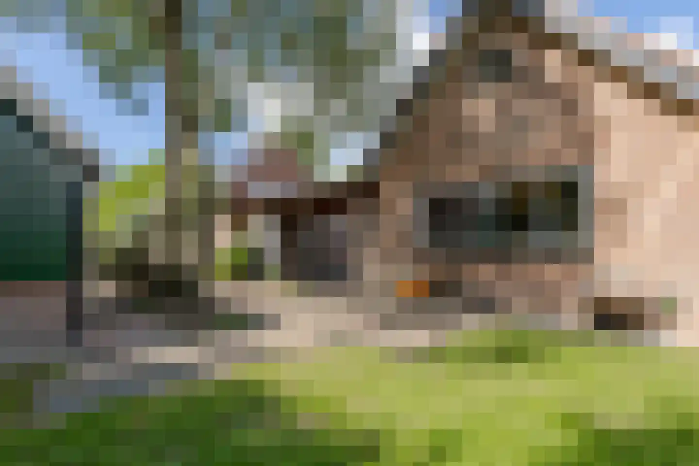 Garderbroekerweg 69 Kootwijkerbroek thumbnail 62