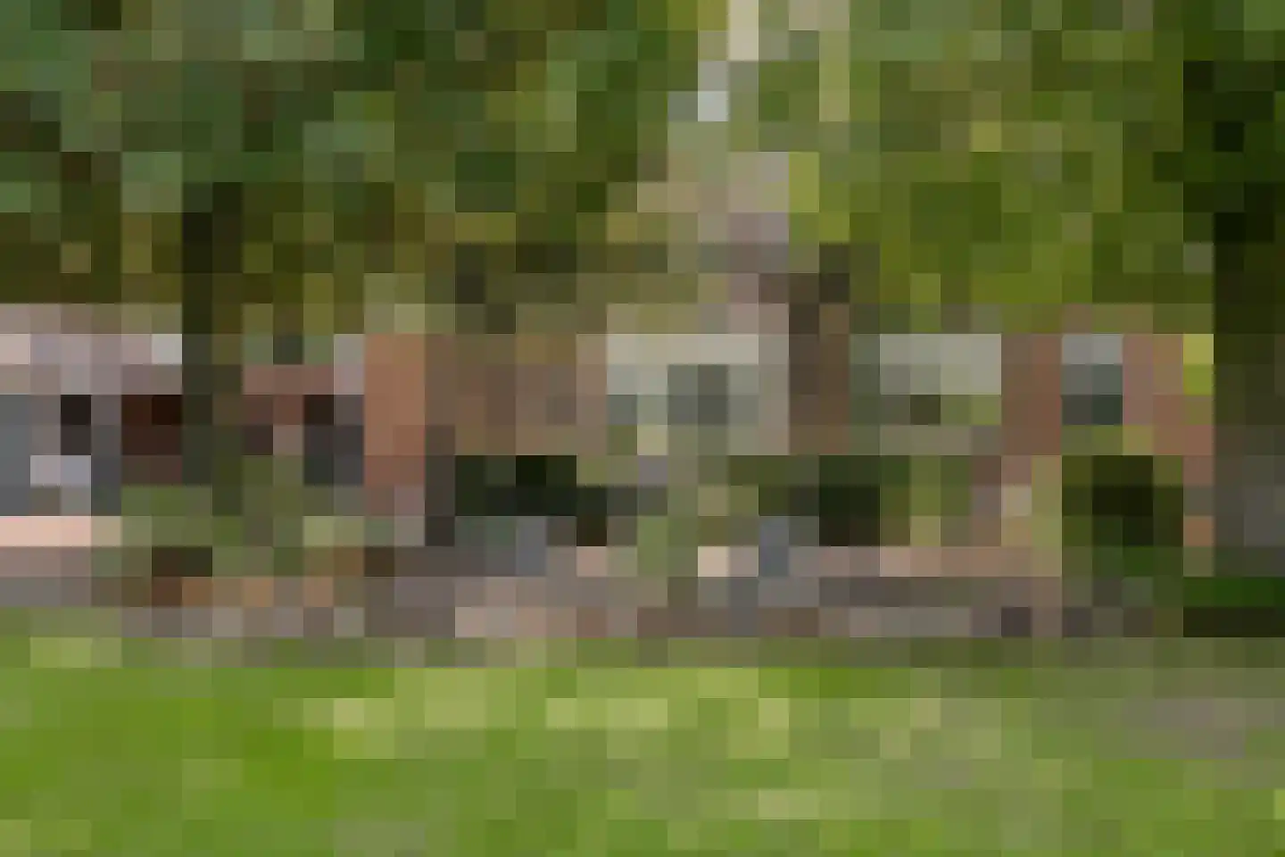 Garderbroekerweg 69 Kootwijkerbroek thumbnail 71