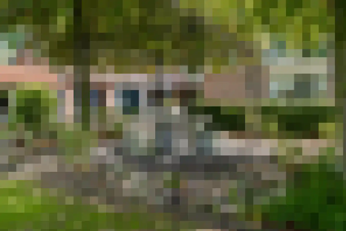 Garderbroekerweg 69 Kootwijkerbroek thumbnail 72