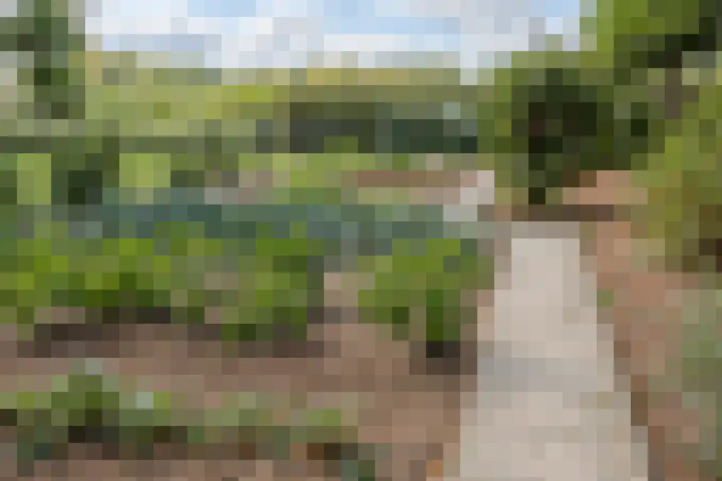 Garderbroekerweg 69 Kootwijkerbroek thumbnail 8