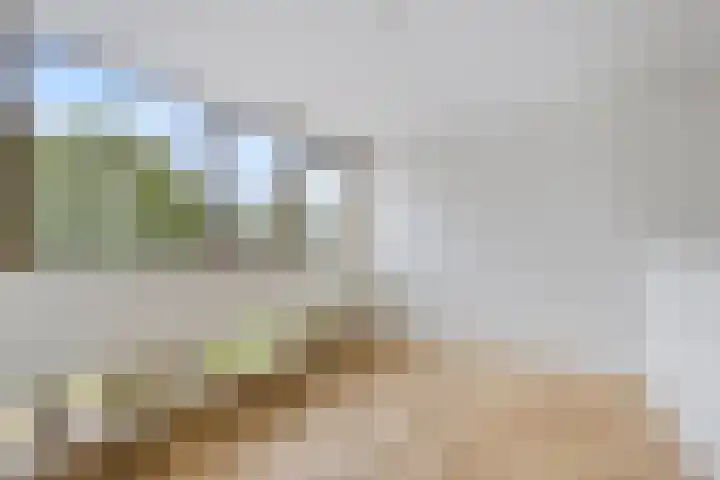 Garderegimentsweg 21 D Schalkhaar thumbnail 17