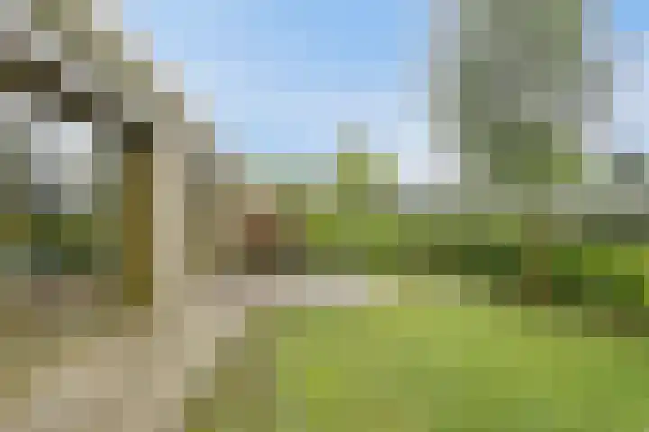 Garderegimentsweg 21 D Schalkhaar thumbnail 21