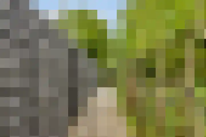 Garderegimentsweg 21 D Schalkhaar thumbnail 28