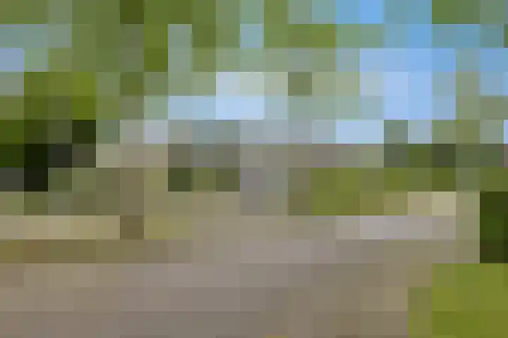 Garderegimentsweg 21 D Schalkhaar thumbnail 32
