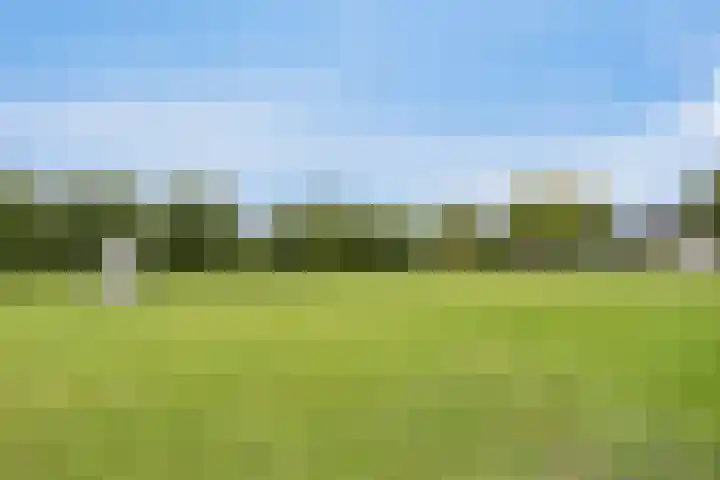 Garderegimentsweg 21 D Schalkhaar thumbnail 34