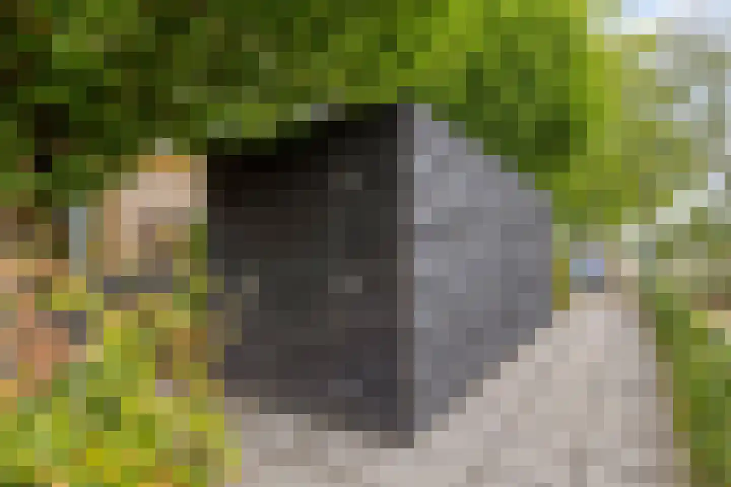 Garderegimentsweg 21 M Schalkhaar thumbnail 21