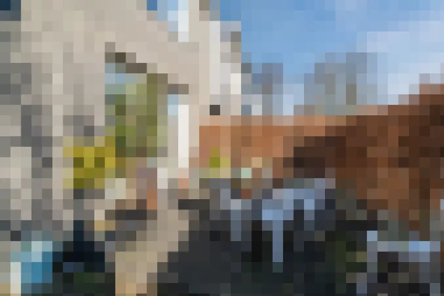 Garderenseweg 13 Putten thumbnail 23