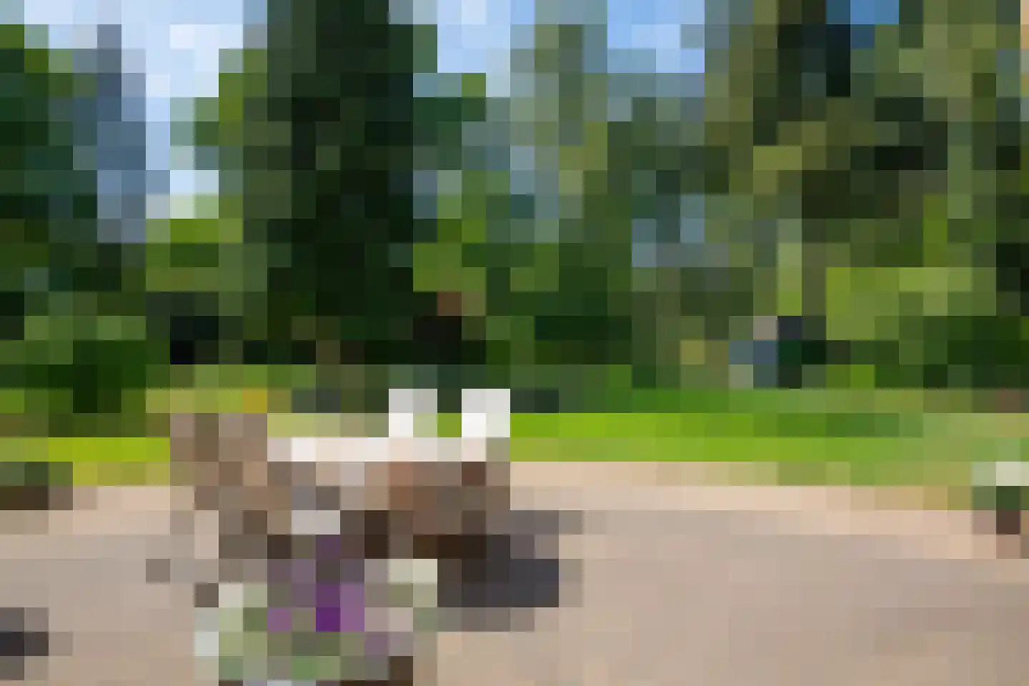 Garderenseweg 130 Putten thumbnail 39