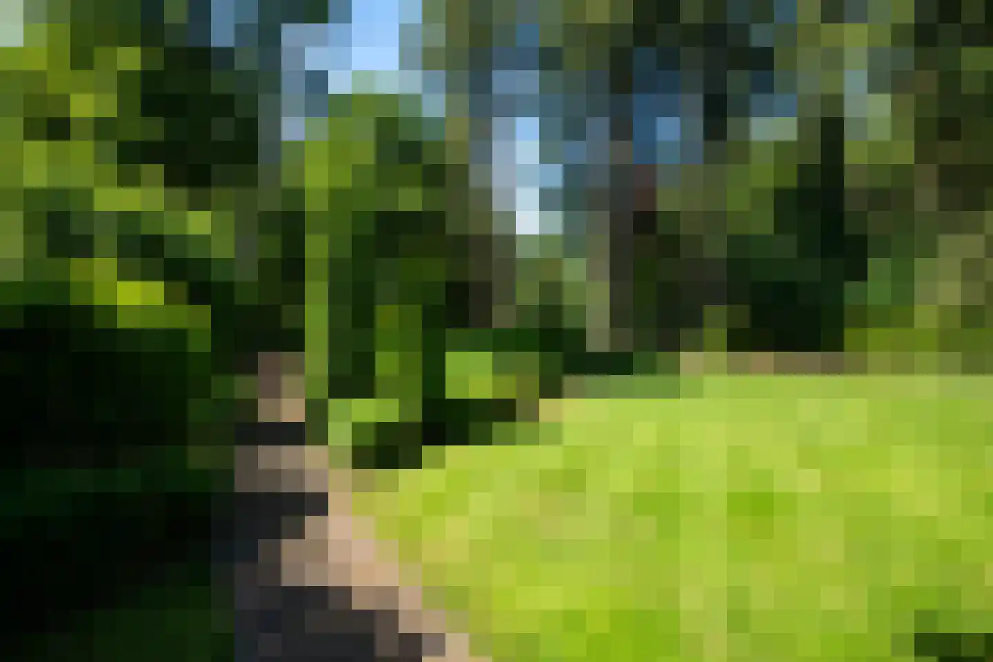 Garderenseweg 130 Putten thumbnail 46