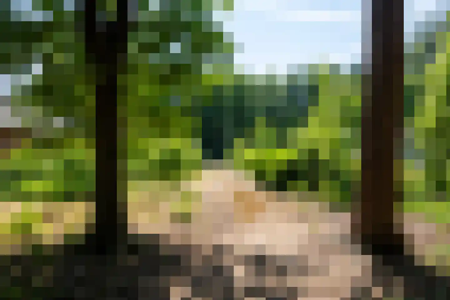 Garderenseweg 130 Putten thumbnail 48