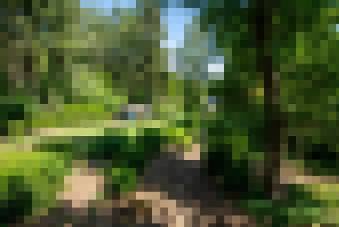 Garderenseweg 130 Putten thumbnail 49