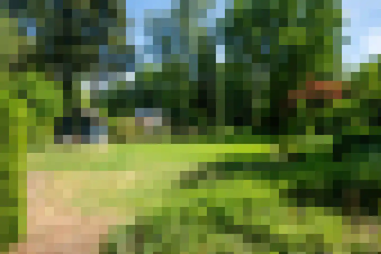 Garderenseweg 130 Putten thumbnail 50