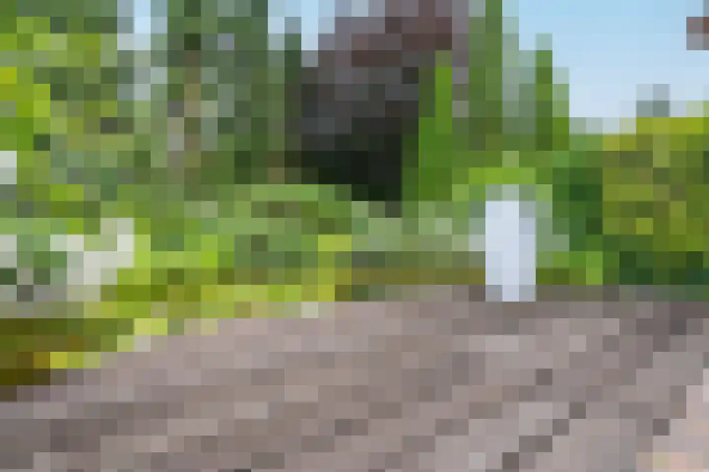 Garderenseweg 160 Putten thumbnail 36