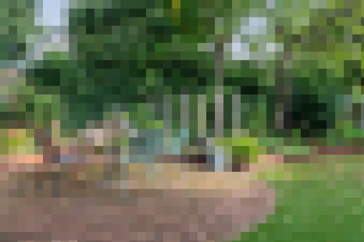 Garderenseweg 21 Putten thumbnail 50