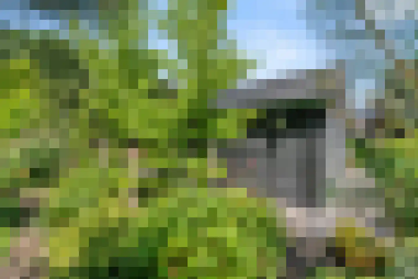 Garderenseweg 285 Ermelo thumbnail 47