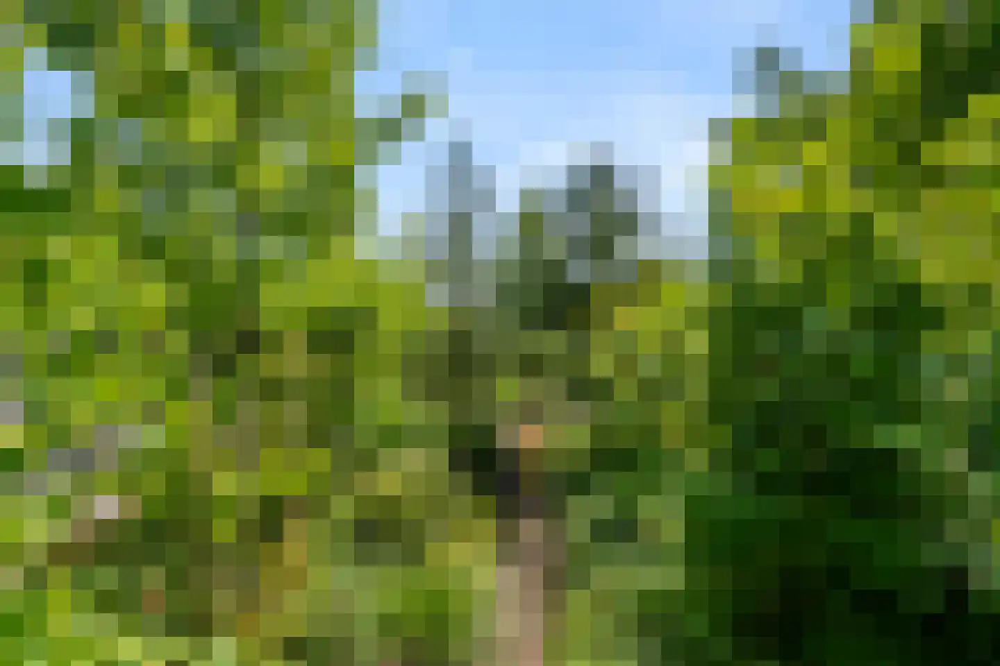Garderenseweg 285 Ermelo thumbnail 48