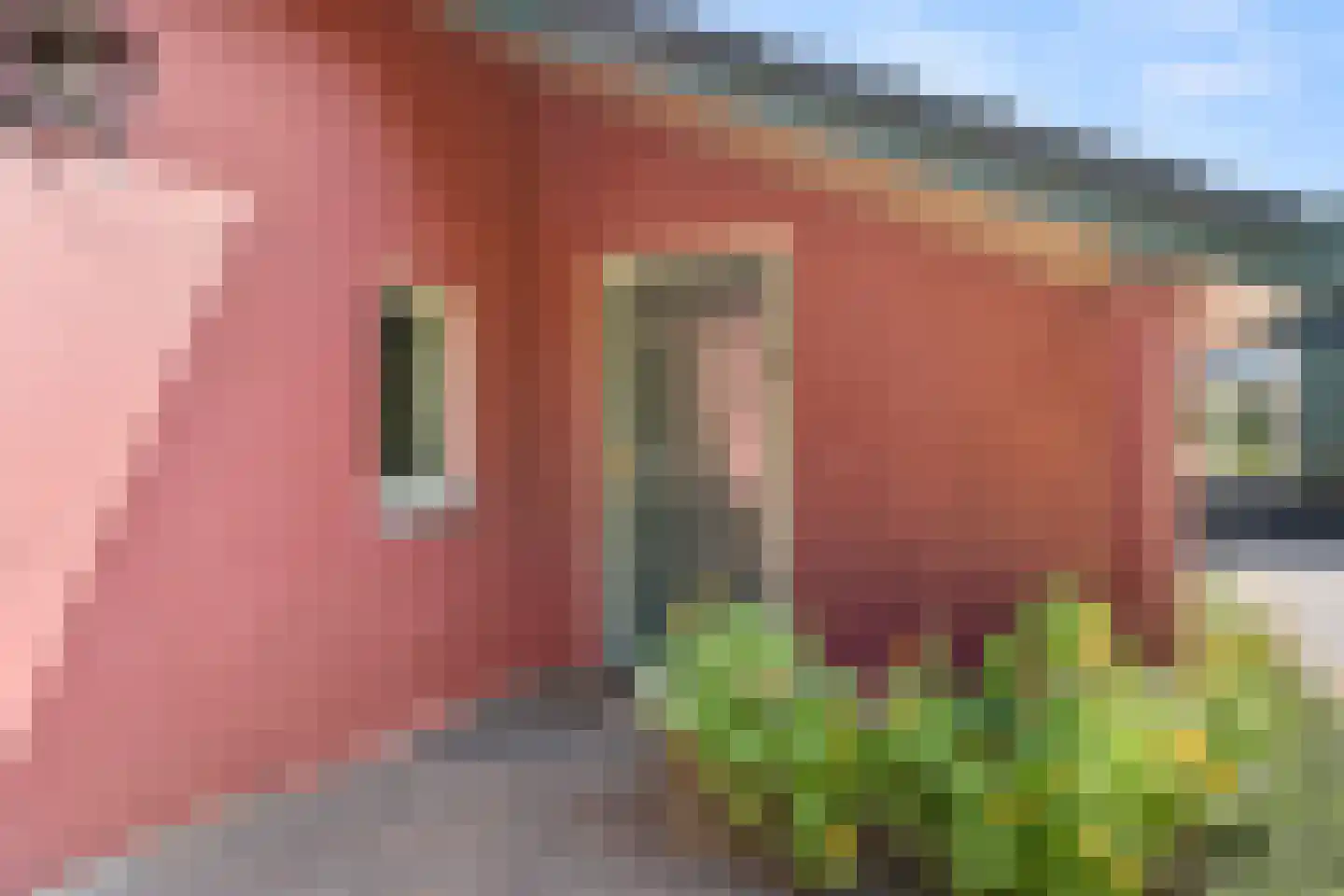 Garderenseweg 285 Ermelo thumbnail 7
