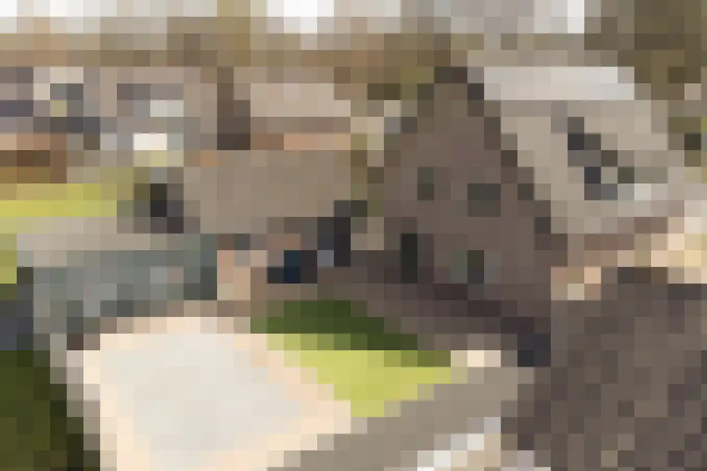 Garderenseweg 42 Uddel thumbnail 34
