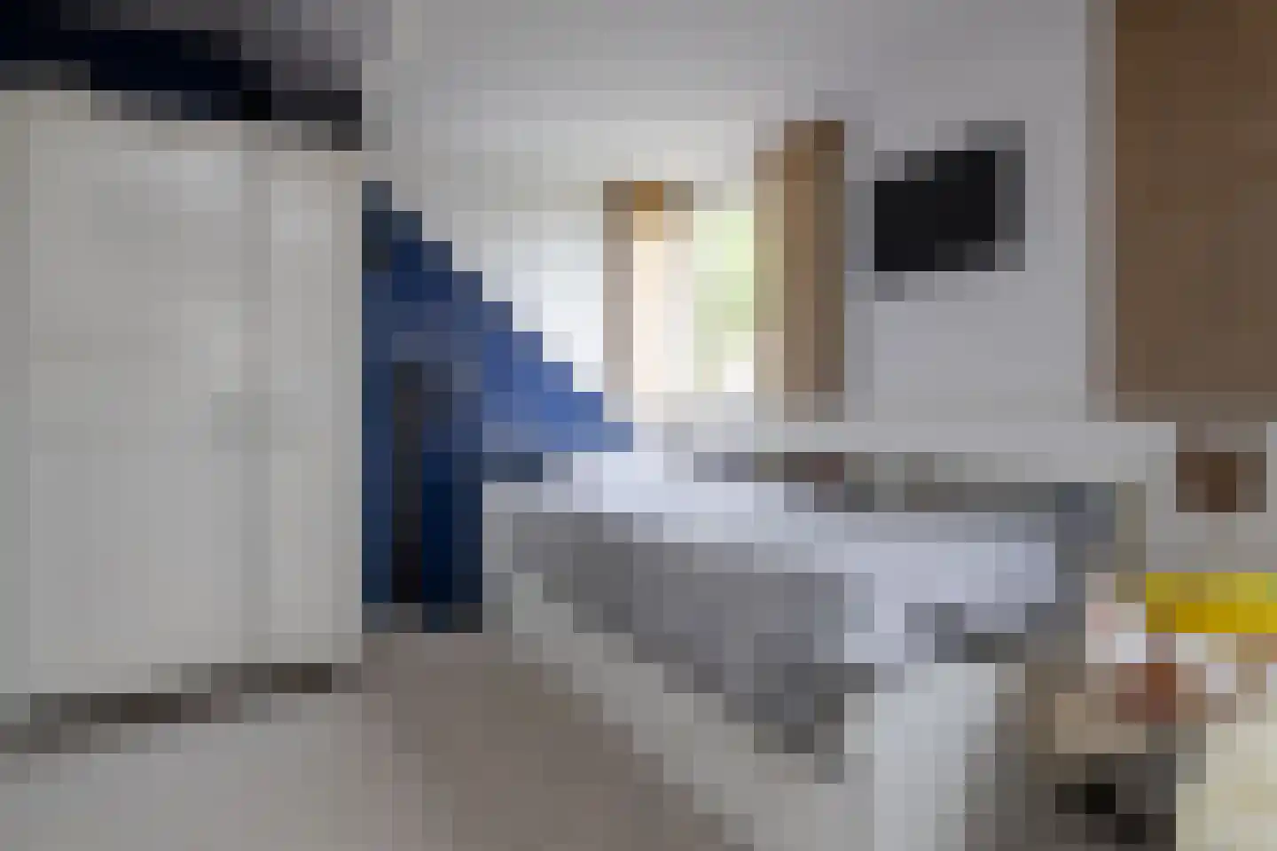 Garderenseweg 46 Uddel thumbnail 41