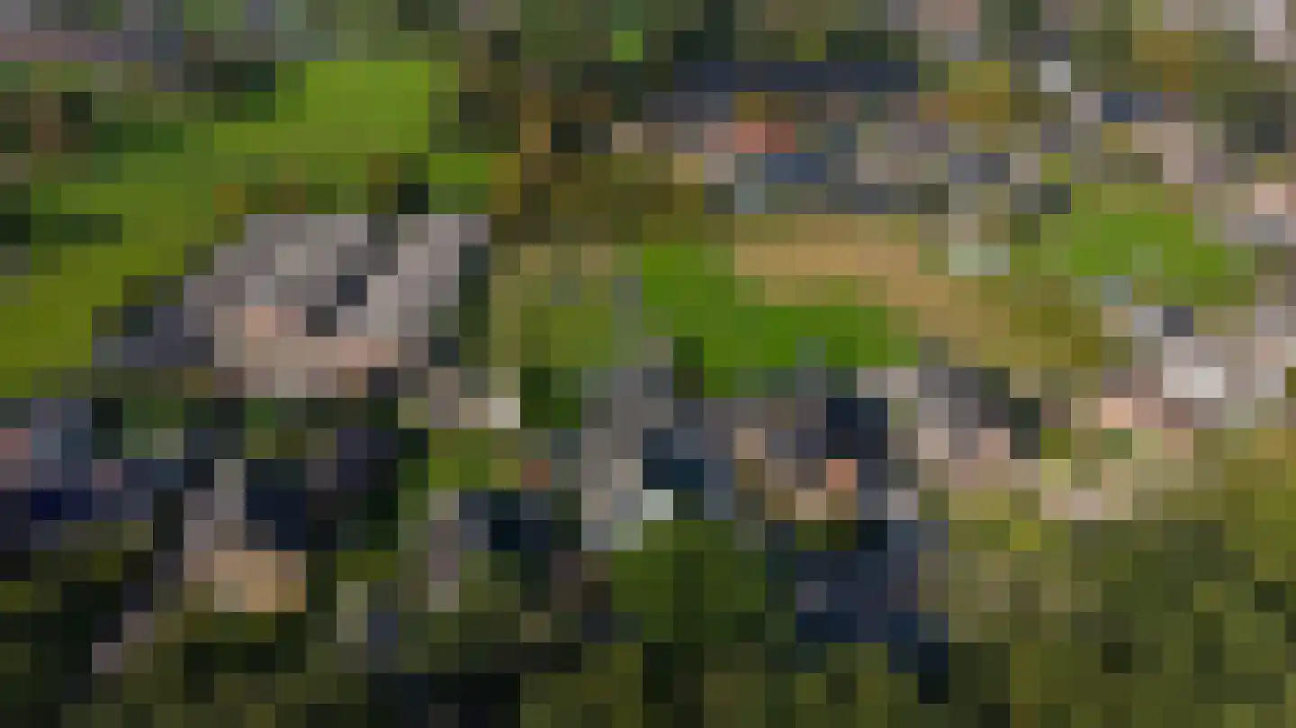 Garderenseweg 46 Uddel thumbnail 45