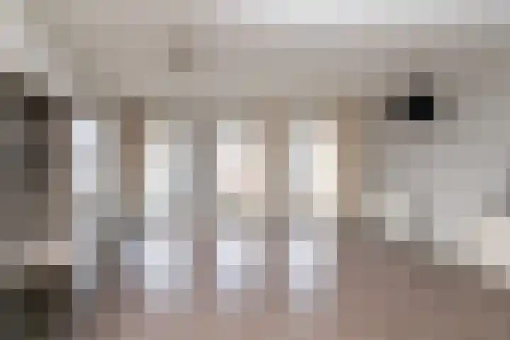 Gardiaanhof 19 Tilburg thumbnail 15