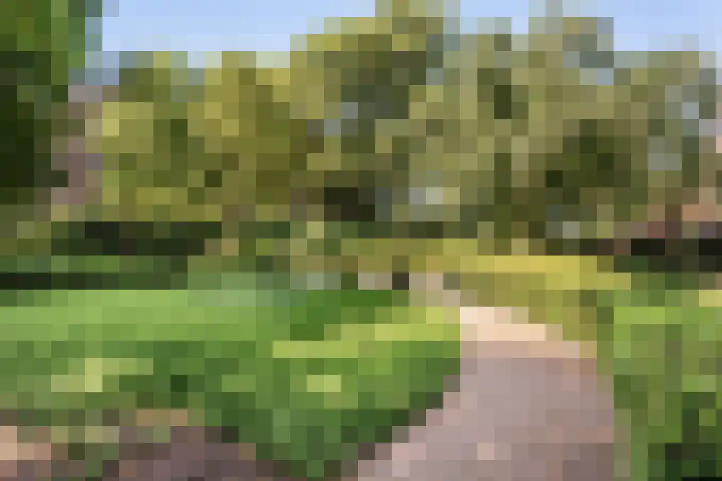 Gardiaanhof 23 Tilburg thumbnail 22
