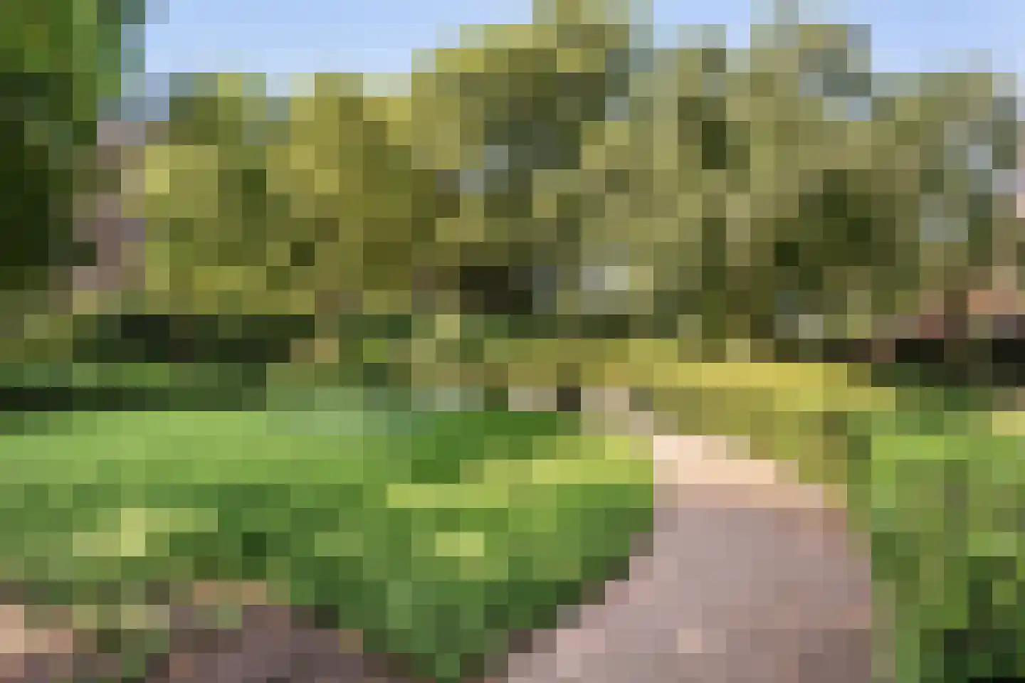 Gardiaanhof 23 Tilburg thumbnail 22