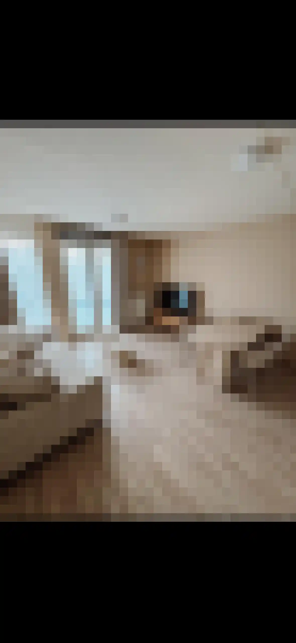 Gardiaanhof 41 Tilburg thumbnail 4