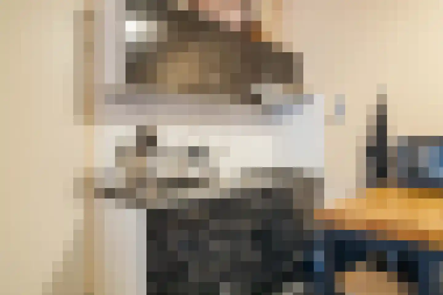Gardiaanhof 41 Tilburg thumbnail 7