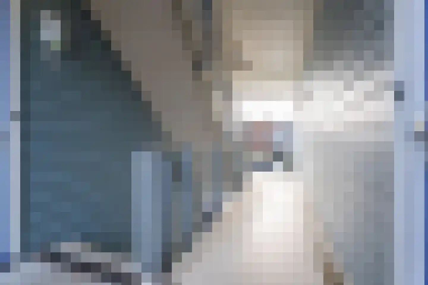 Gardiaanhof 45 Tilburg thumbnail 13