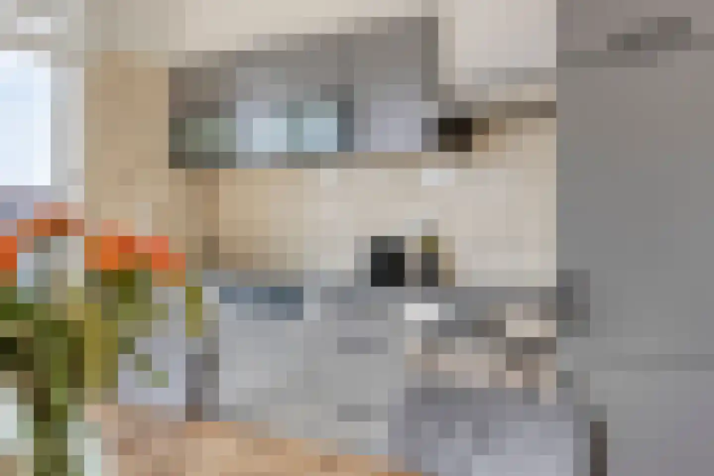 Gardiaanhof 49 Tilburg thumbnail 11