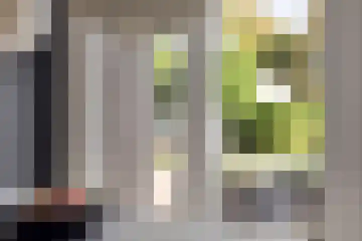 Gardiaanhof 5 Rilland thumbnail 10