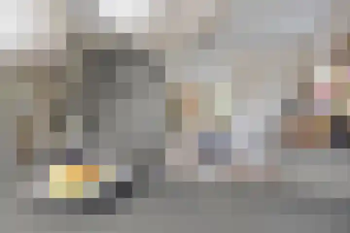 Gardiaanhof 5 Rilland thumbnail 11