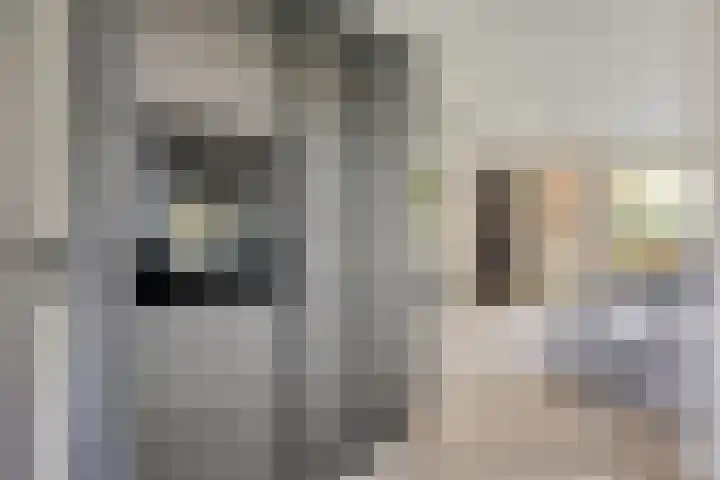 Gardiaanhof 5 Rilland thumbnail 12