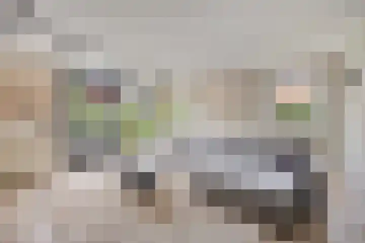 Gardiaanhof 5 Rilland thumbnail 14