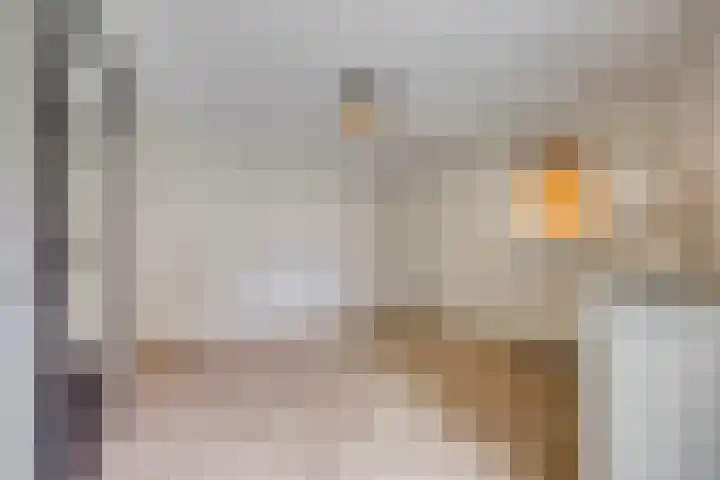 Gardiaanhof 5 Rilland thumbnail 17