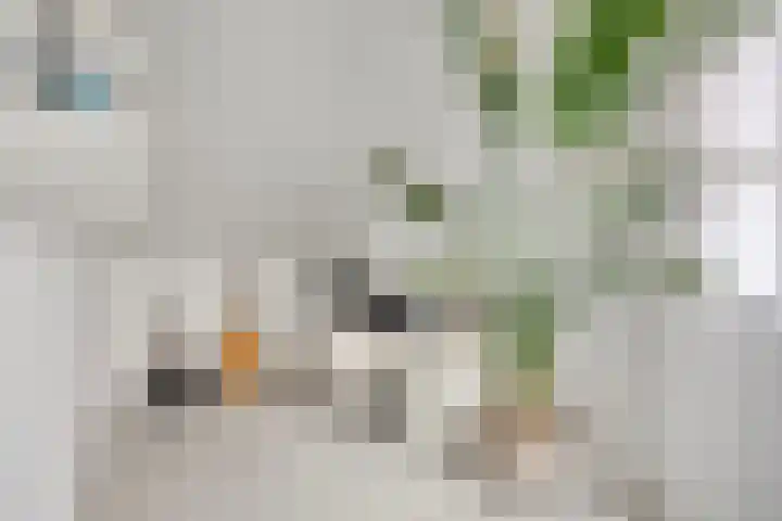 Gardiaanhof 5 Rilland thumbnail 25