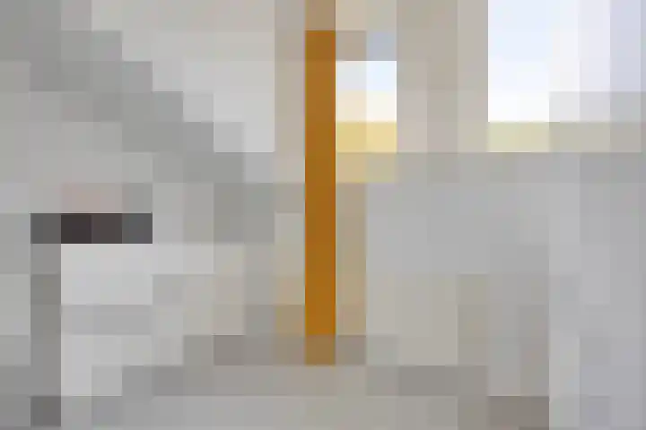 Gardiaanhof 5 Rilland thumbnail 27