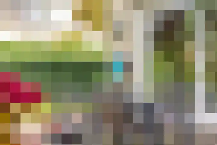 Gardiaanhof 5 Rilland thumbnail 30