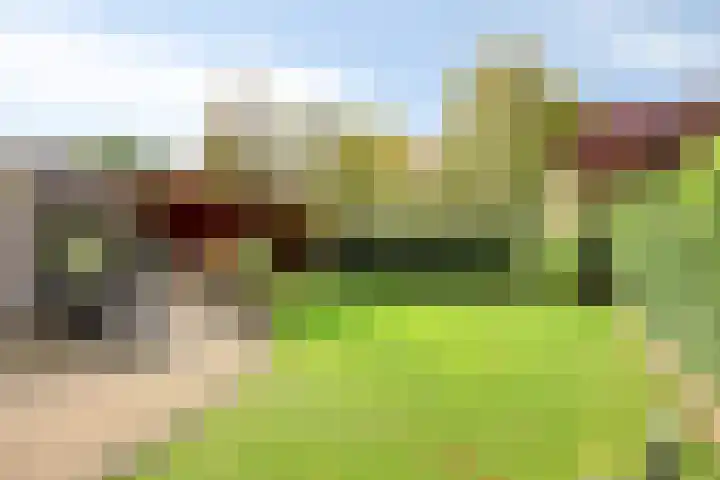 Gardiaanhof 5 Rilland thumbnail 31