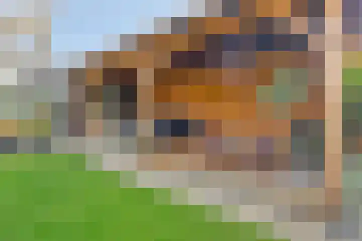 Gardiaanhof 5 Rilland thumbnail 32