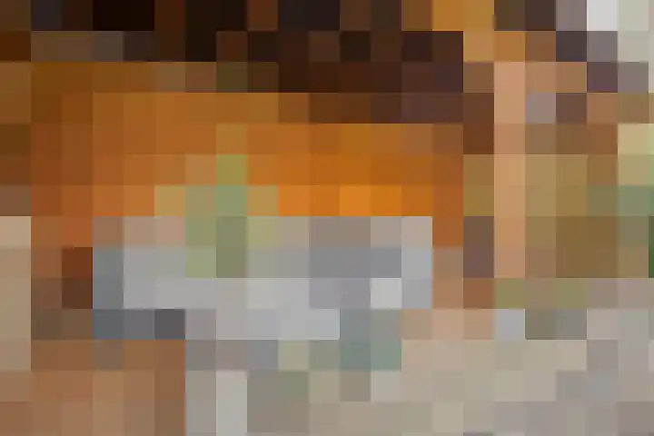 Gardiaanhof 5 Rilland thumbnail 33